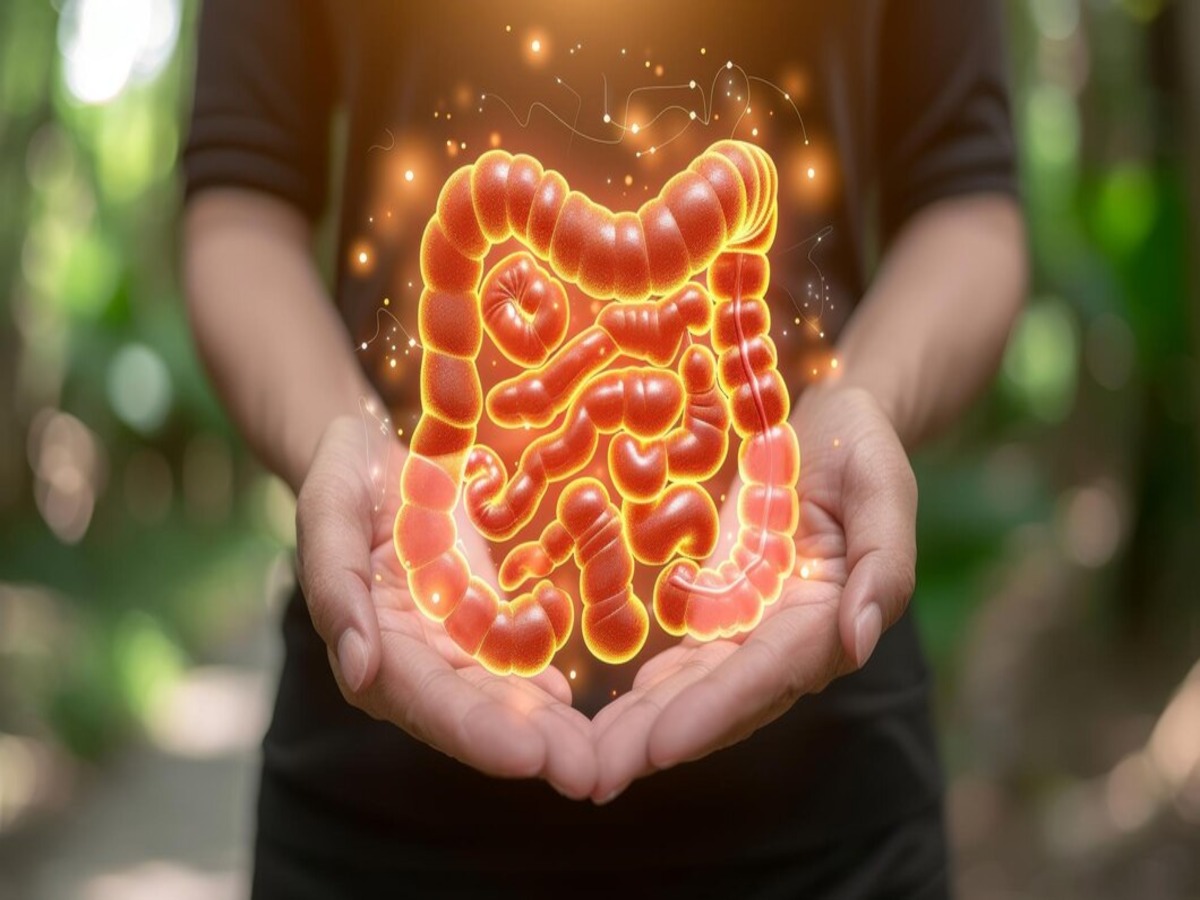 11 Simple Expert-Recommended Habits That Will Transform Your Digestive Health In Weeks! 11 Simple Expert-Recommended Habits That Will Transform Your Digestive Health In Weeks!