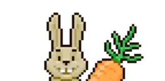 A nutrition revolution: Top streamers team up with Knorr to level up veggies in the gaming world Gamers calling for veggie equality