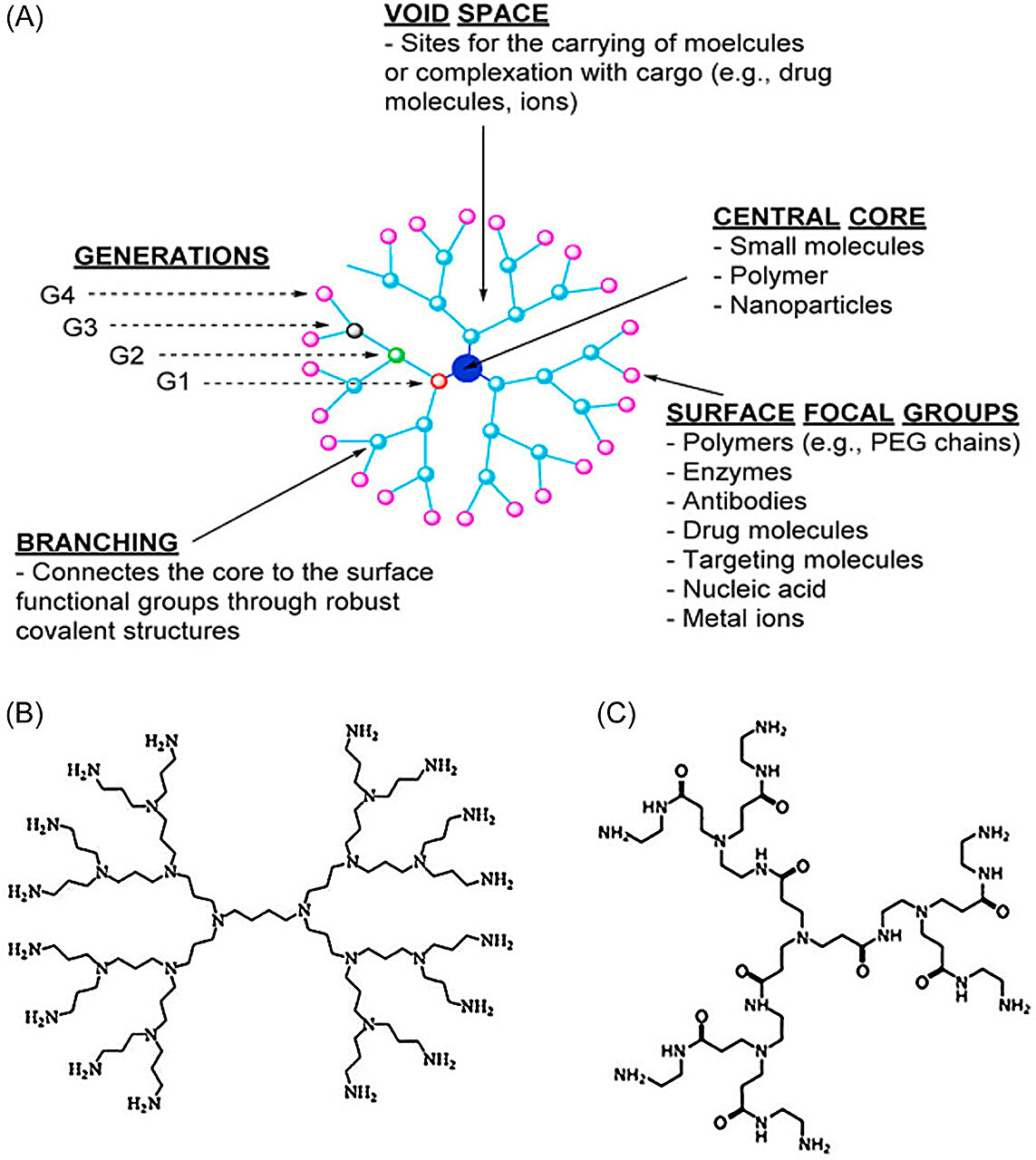 Advances and applications of nanoparticles in cancer therapy Advances and applications of nanoparticles in cancer therapy