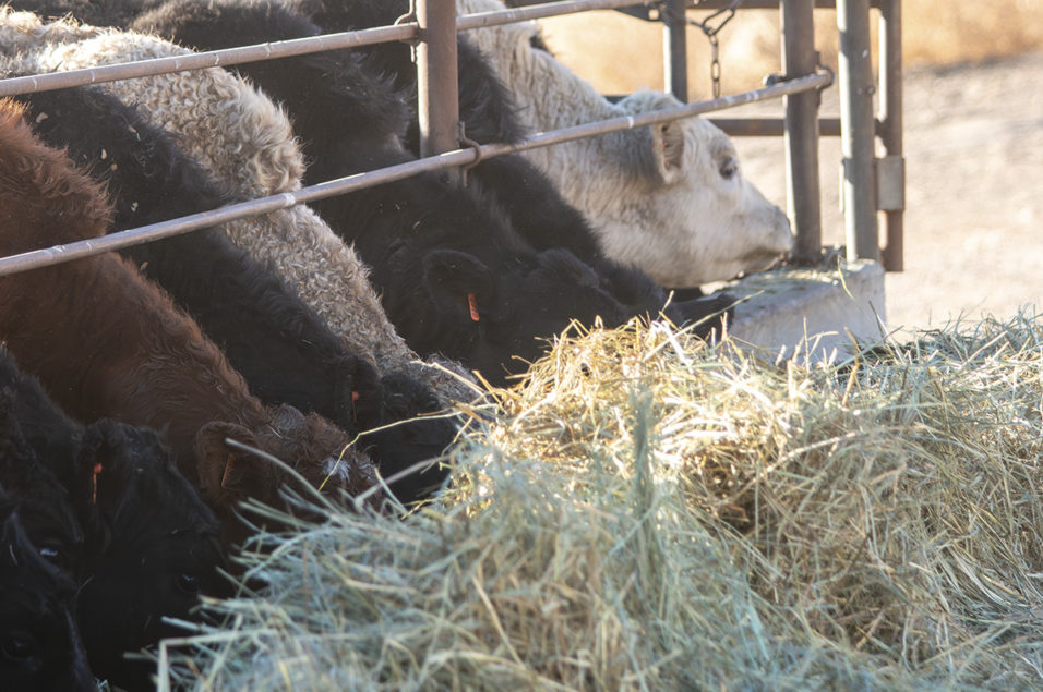 Balancing GHG emissions within nutritional boundaries Balancing GHG emissions within nutritional boundaries