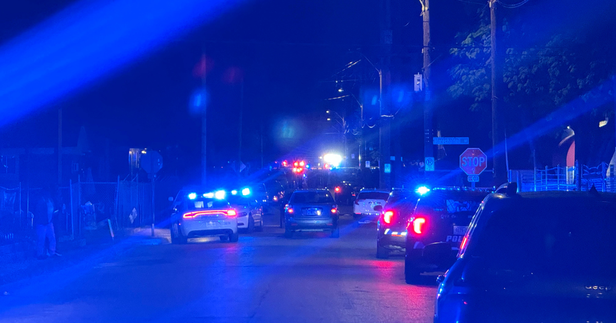 Block party tragedy could scar kids in the community, mental health expert says | Health Block party tragedy could scar kids in the community, mental health expert says | Health