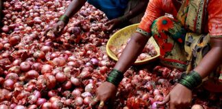 Can not consuming onions lead to constipation? onion, onion nutrition