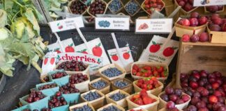 Changes coming to Senior Farmers Market Nutrition Voucher Program in Lancaster Changes coming to Senior Farmers Market Nutrition Voucher Program in Lancaster