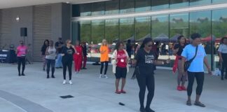 Wellness event strives to change habits and save lives Delta Sigma Theta Sorority Inc housing and wellness day | Wellness event strives to change habits and save lives