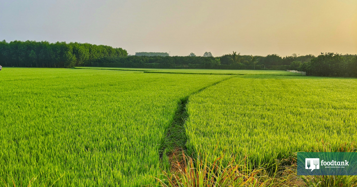 Exploring the Intersection of Climate Action and Nutrition Security – Food Tank Exploring the Intersection of Climate Action and Nutrition Security – Food Tank