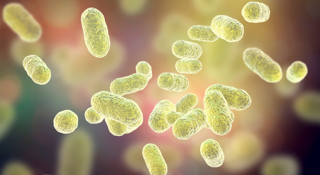 Get to Know the Microorganisms in Your Gut Get to Know the Microorganisms in Your Gut