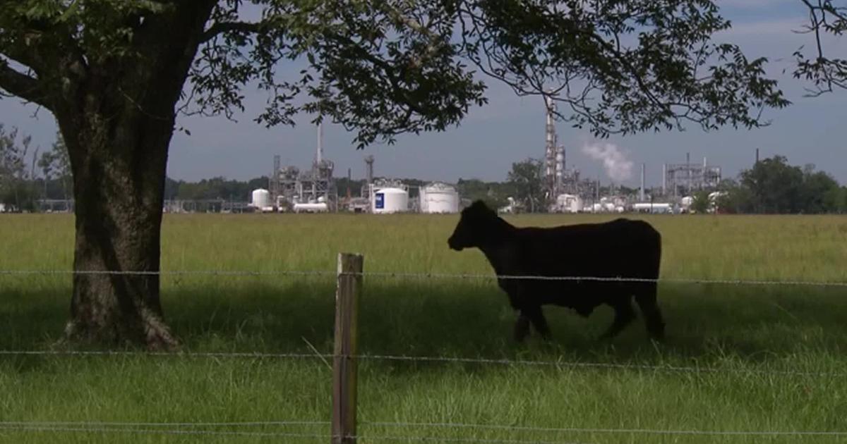 HEALTH MINUTE: HEALTHY HABITS THAT HELP THE EARTH | National HEALTH MINUTE: HEALTHY HABITS THAT HELP THE EARTH | National