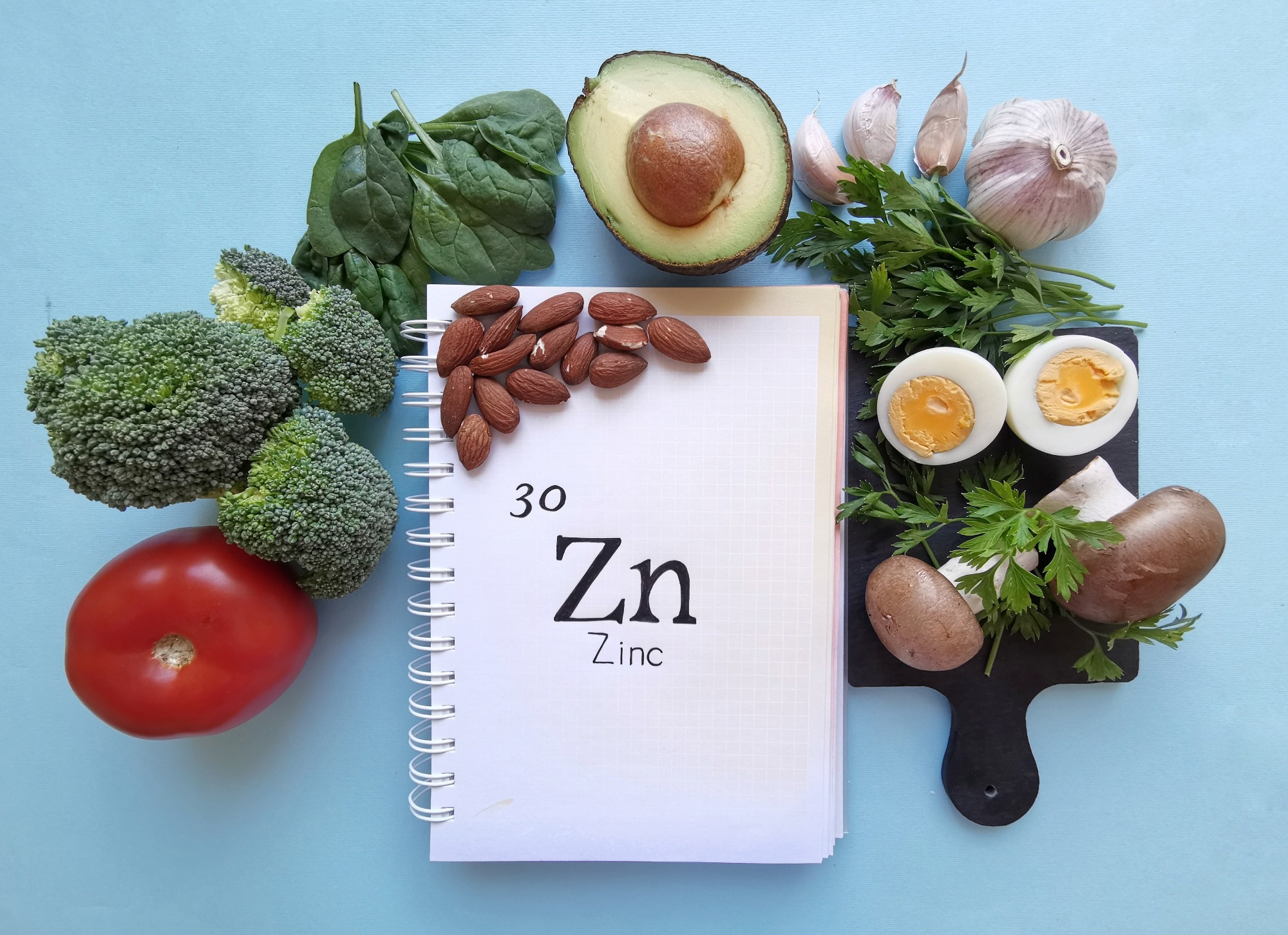 Higher zinc intake linked to lower asthma risk in overweight kids Study: Association between dietary zinc intake and asthma in overweight or obese children and adolescents: A cross-sectional analysis of NHANES. Image Credit: Danijela Maksimovic / Shutterstock