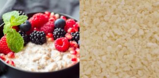 Instant sports nutrition with Loryma’s innovative new ingredients Lory Crumb