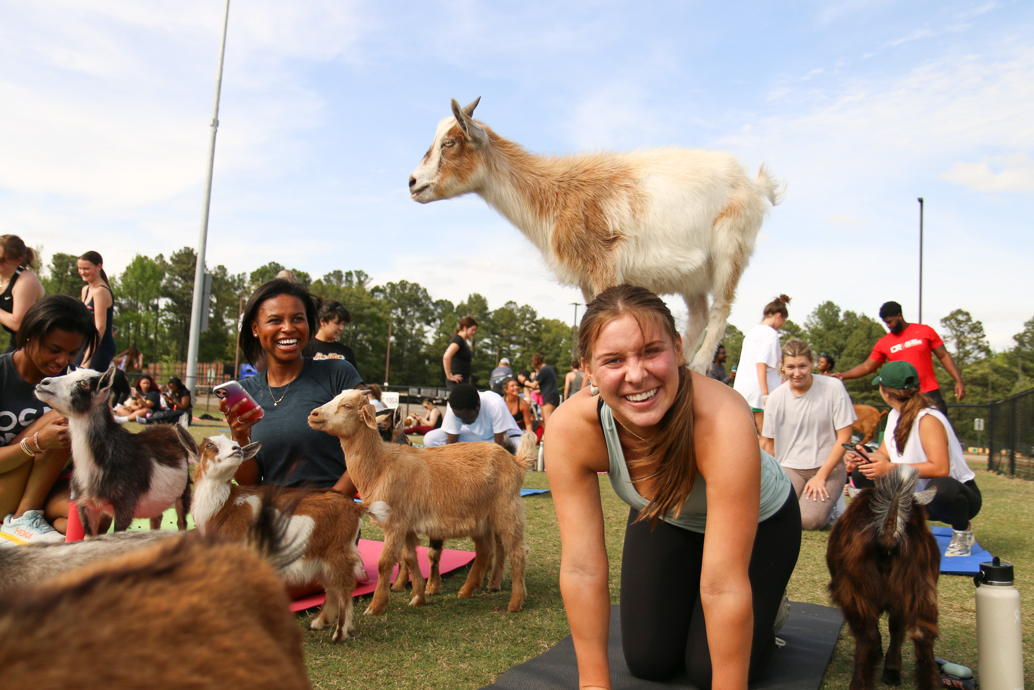 Loaded teas and muscle tees: wellness culture prevails across UM campus Loaded teas and muscle tees: wellness culture prevails across UM campus