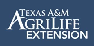 Master Wellness Volunteers, serving the community Master Wellness Volunteers, serving the community