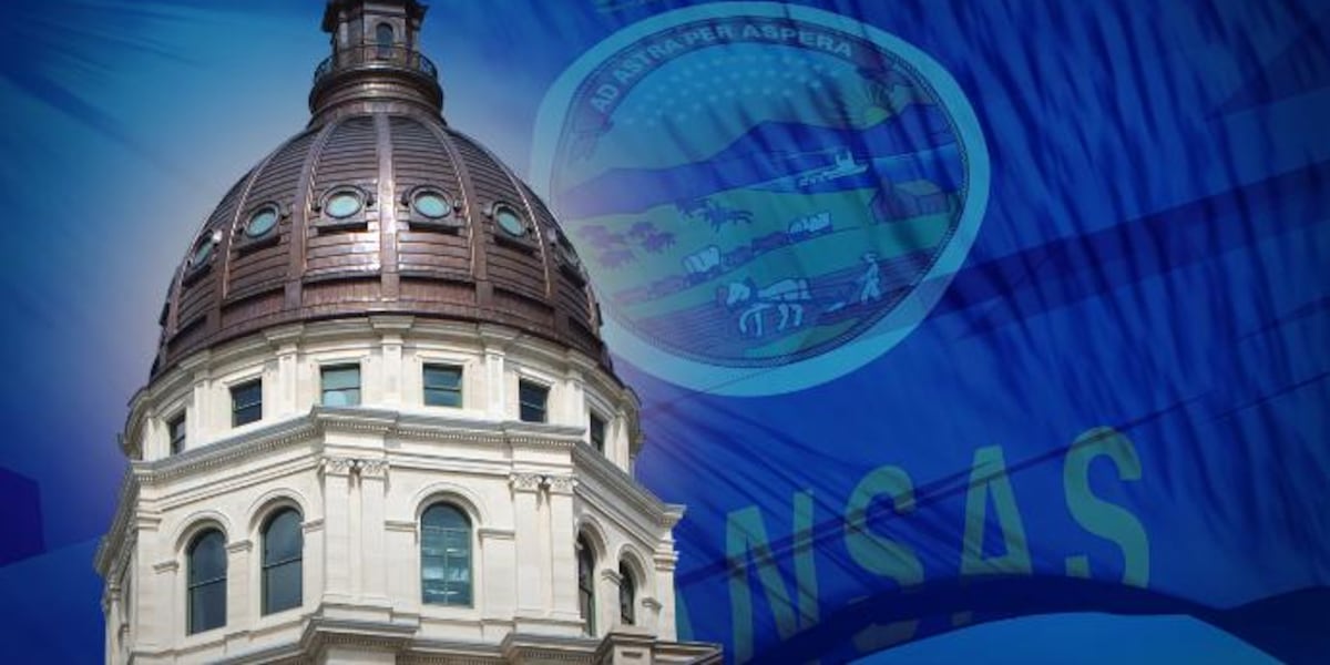 Medical, mental health providers support governor veto on gender-affirming care issue Medical, mental health providers support governor veto on gender-affirming care issue