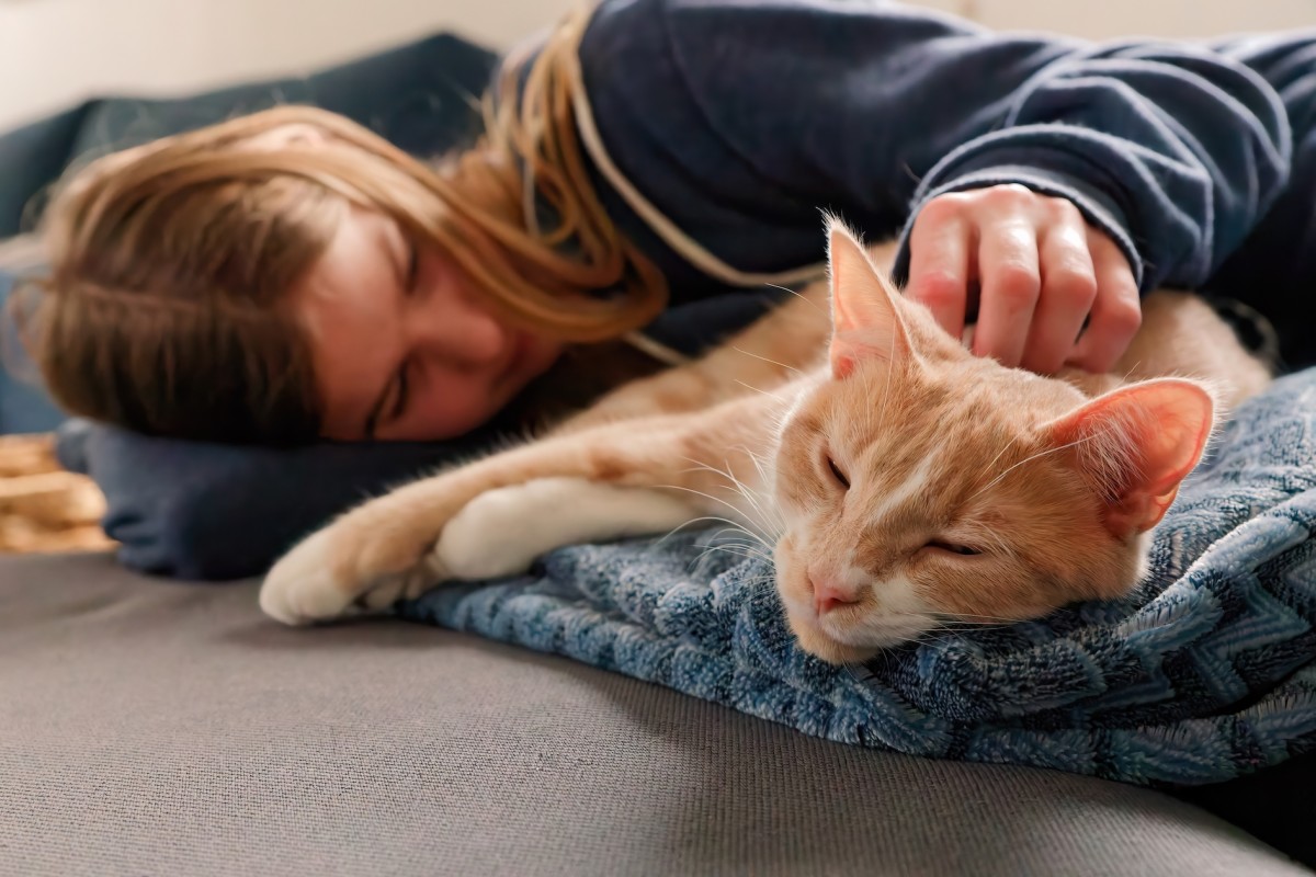 New Study Shows Surprising Link Between Cat Parents and Serious Mental Disorder New Study Shows Surprising Link Between Cat Parents and Serious Mental Disorder