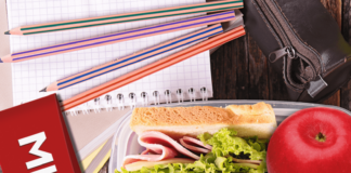 Nourishing children’s success: How nutrition is vital for school performance – Local Nourishing children’s success: How nutrition is vital for school performance - Local