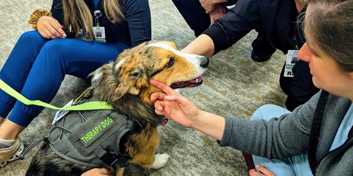 Parkview Health Again Named ‘Best And Brightest In Wellness’ – InkFreeNews.com Parkview Health Again Named ‘Best And Brightest In Wellness’ – InkFreeNews.com