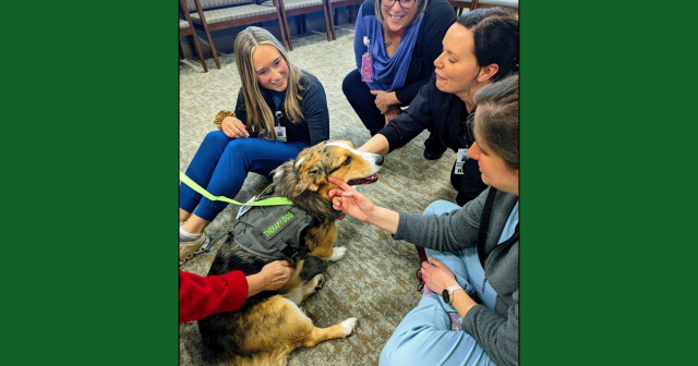 Parkview Health named ‘Best and Brightest in Wellness’ for sixth time | Health Parkview Health named 'Best and Brightest in Wellness' for sixth time | Health