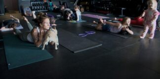 Puppy yoga encourages participation at Magic City Knockout Fitness | Billings News Puppy yoga encourages participation at Magic City Knockout Fitness | Billings News