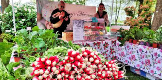 Registration open for Maple Ridge Pitt Meadows Farmers Market nutrition coupons Registration open for Maple Ridge Pitt Meadows Farmers Market nutrition coupons