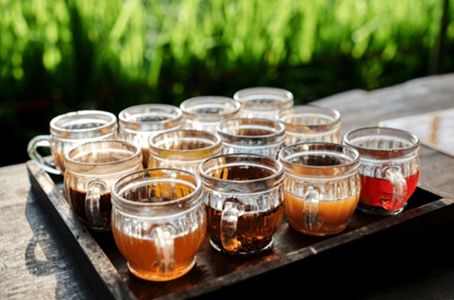 Rooibos to set SA apart in booming wellness travel sector Rooibos to set SA apart in booming wellness travel sector