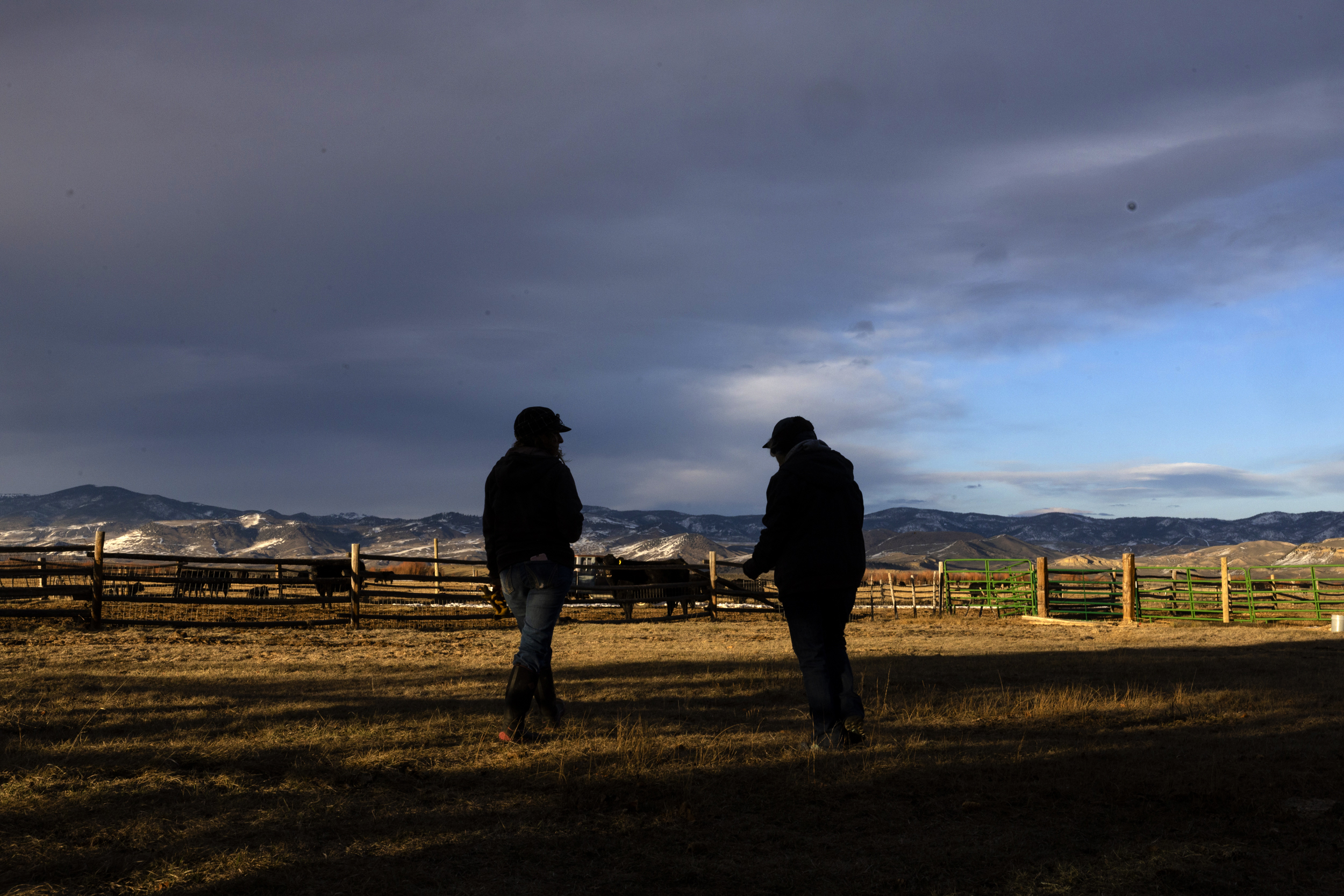 Rural Colorado’s “cowboy up” culture has led to high suicide rates Rural Colorado’s “cowboy up” culture has led to high suicide rates
