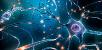 Scientists Make Breakthrough in Chronic Pain Treatment Neurones