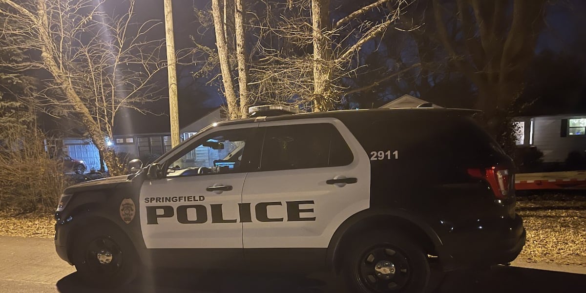 Springfield PD and Burrell Behavioral Health awarded grant to expand co-responder mental health program Springfield PD and Burrell Behavioral Health awarded grant to expand co-responder mental health program