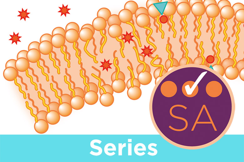 Vitamins E and K: their role and the effects of deficiency INDEX_SOL_VitsEK_59355.jpg