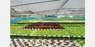 “We can harness the power of AI to now personalize nutrition recommendations efficiently” “We can harness the power of AI to now personalize nutrition recommendations efficiently"