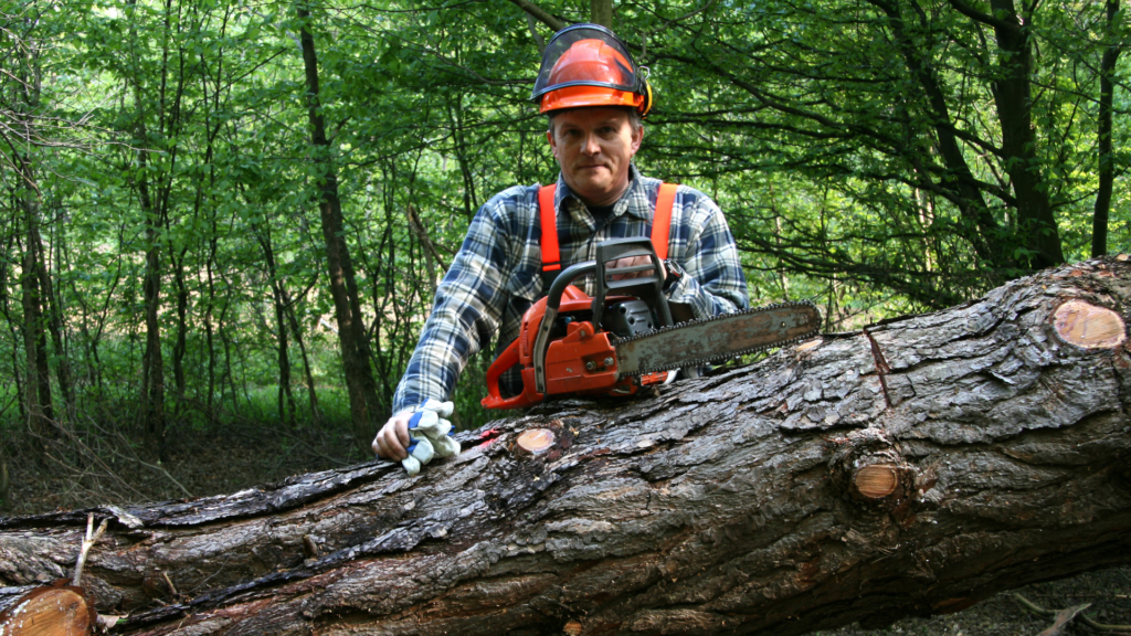 Webinar: Stress Control Strategies for the Forestry and Timber Workforce Webinar: Stress Control Strategies for the Forestry and Timber Workforce