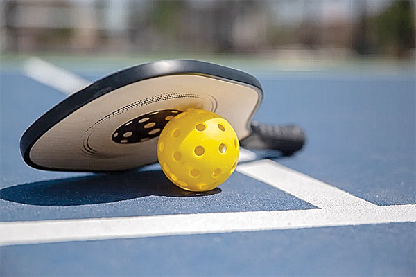Wellness Center adds pickleball to the court – Pocahontas Times Wellness Center adds pickleball to the court – Pocahontas Times