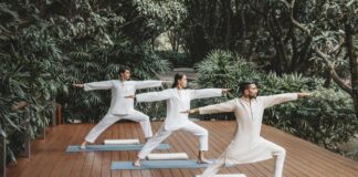 Wellness destination | The enchanted forest Wellness destination | The enchanted forest