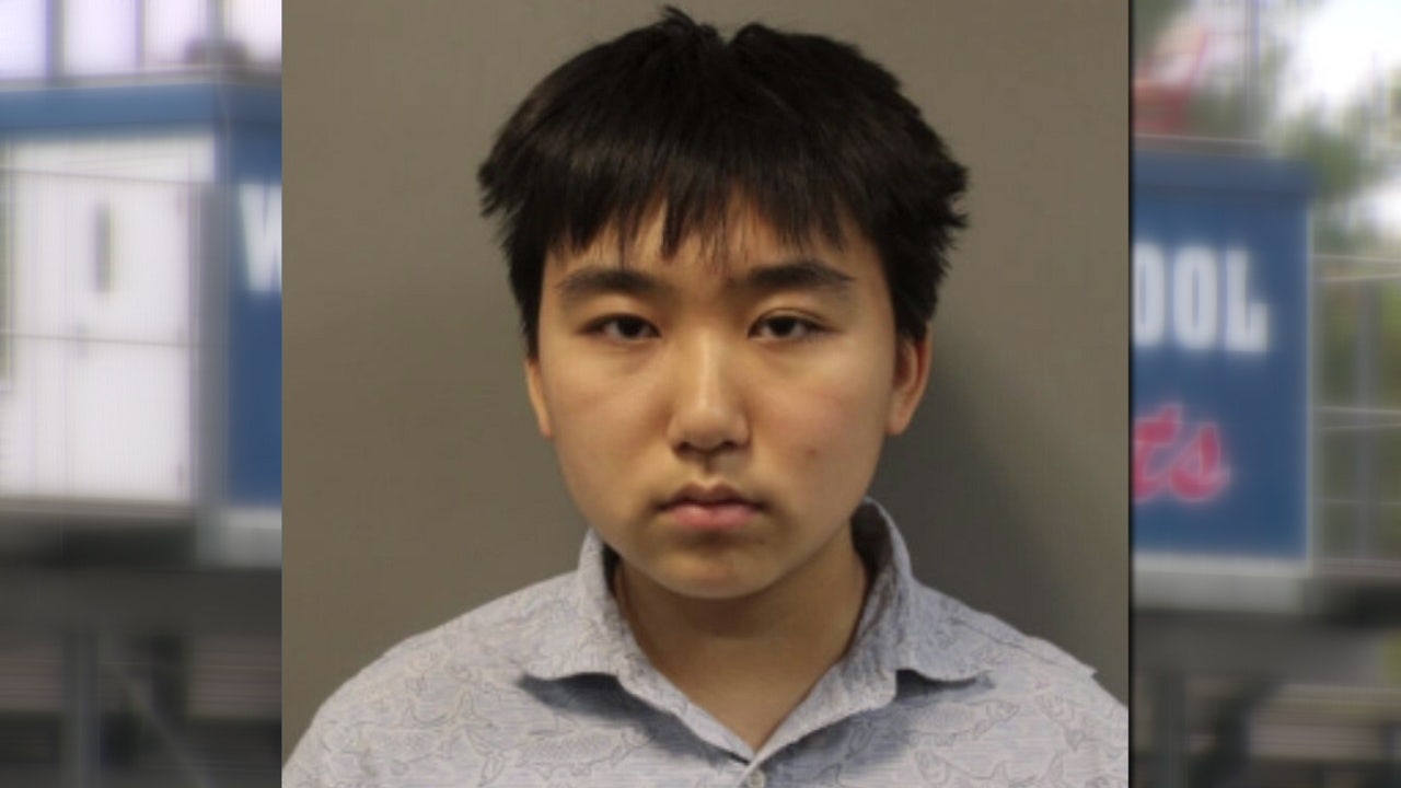 Wootton HS student Andrea Ye’s arrest could serve as mental health ‘wake-up call’: Elrich Wootton HS student Andrea Ye's arrest could serve as mental health 'wake-up call': Elrich
