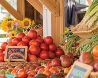 Applications open for Farmers Market Nutrition Program; change in distribution process | Local News Applications open for Farmers Market Nutrition Program; change in distribution process | Local News