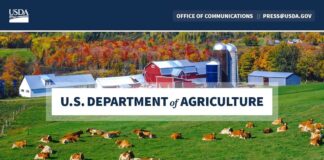 Biden-Harris Administration Announces New School Meal Standards to Strengthen Child Nutrition Biden-Harris Administration Announces New School Meal Standards to Strengthen Child Nutrition