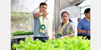 Dept of Ag bolsters health and nutrition, urban agri, food security initiatives Dept of Ag bolsters health and nutrition, urban agri, food security initiatives