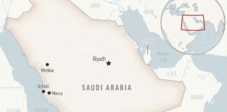 Saudi Arabia confirms fitness influencer sentenced to 11 years for ‘terrorism’ Saudi Arabia confirms fitness influencer sentenced to 11 years for 'terrorism'