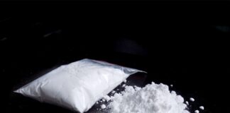 A New Treatment for Addiction? Rosemary Extract Reduces Cocaine Cravings in Breakthrough Study A New Treatment for Addiction? Rosemary Extract Reduces Cocaine Cravings in Breakthrough Study