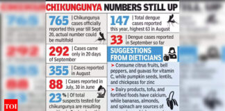 Chikungunya: Boost Your Recovery from Chikungunya with Proper Nutrition | Nagpur News Chikungunya: Boost Your Recovery from Chikungunya with Proper Nutrition | Nagpur News