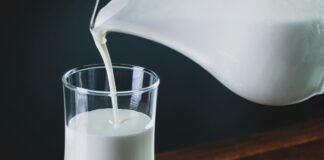 Dairy in Your Diet, by Charlyn Fargo Dairy in Your Diet, by Charlyn Fargo