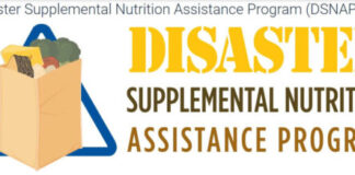 Disaster Supplemental Nutrition Assistance Program (DSNAP) begins Wednesday | Pelican Post Disaster Supplemental Nutrition Assistance Program (DSNAP) begins Wednesday | Pelican Post