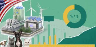 Facts & Trends on the $246 Billion Pet Market – Dogster Pet Industry Statistics US