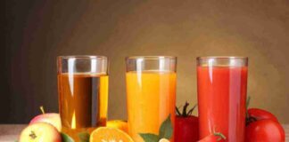 Fruit Pomace Market Insights: Sales Growth Trends and Industry Forecasts through 2033 Fruit Pomace Market