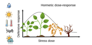 Harnessing AI for Hormesis Management and Plant Stress Analysis: Advancing Agricultural Resilience and Productivity Harnessing AI for Hormesis Management and Plant Stress Analysis: Advancing Agricultural Resilience and Productivity