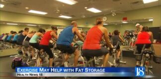 Health News 18: Exercise May Help with Fat Storage Health News 18: Exercise May Help with Fat Storage