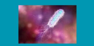 Infection Risks, Challenges, and Breakthroughs for Health Care Professionals Infection Risks, Challenges, and Breakthroughs for Health Care Professionals