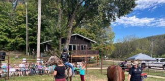 Mount Horeb community tries to heal with help from therapy horses Mount Horeb community tries to heal with help from therapy horses