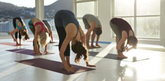 OfferingTree, software firm for fitness businesses, raises $2M OfferingTree, software firm for fitness businesses, raises $2M