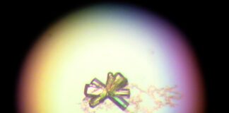 Revealing New DNA Structures: A Breakthrough That Could Redefine Diabetes Treatment Revealing New DNA Structures: A Breakthrough That Could Redefine Diabetes Treatment