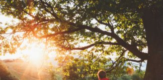 Small Steps, Big Impact: 5 Easy Ways to Boost Your Mental Wellness Small Steps, Big Impact: 5 Easy Ways to Boost Your Mental Wellness