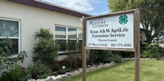 Texas A&M AgriLife fights diabetes with VC nutrition program | Education Texas A&M AgriLife fights diabetes with VC nutrition program | Education